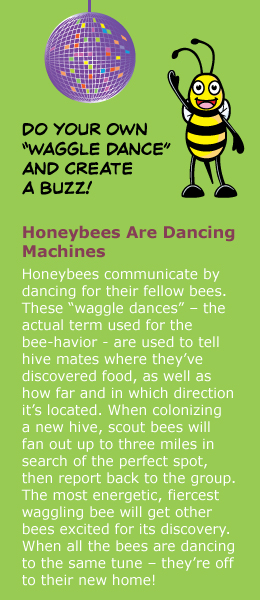 BeeDance